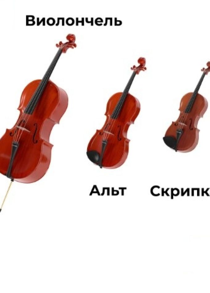 ДВЕ СКРИПКИ. АЛЬТ. ВИОЛОНЧЕЛЬ.